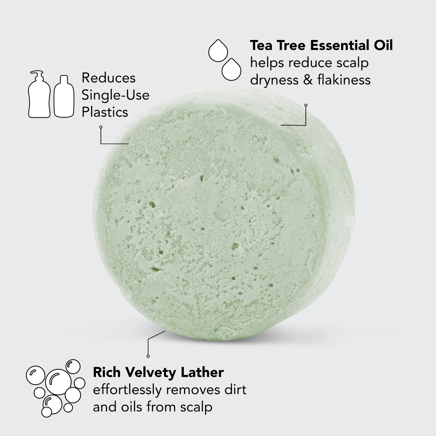 Shampoo with Tea Tree Oil + Mint 