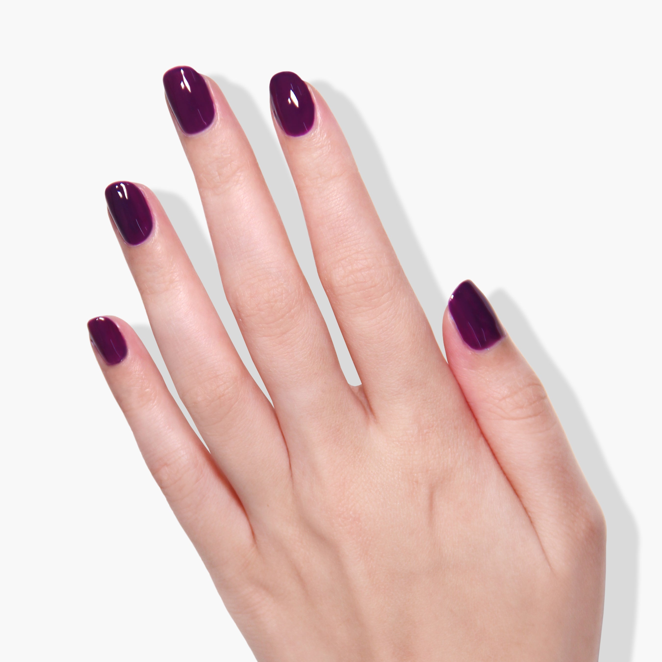 Portobello Plum Nail Polish