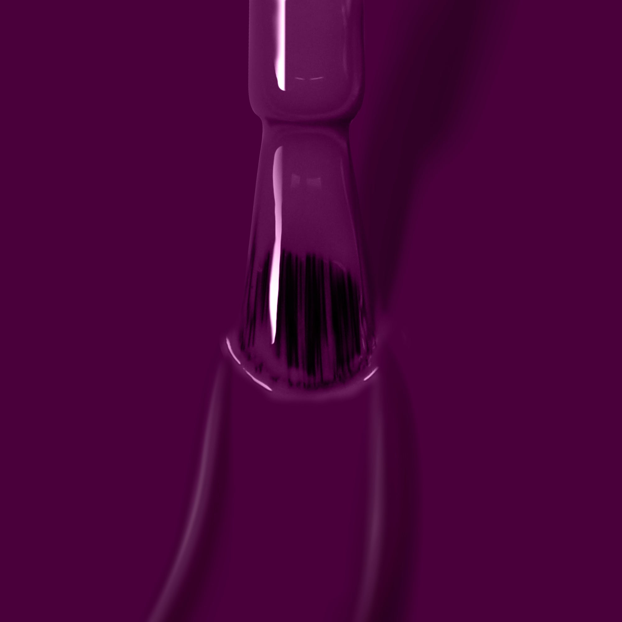 Portobello Plum Nail Polish