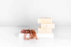 Sea Moss